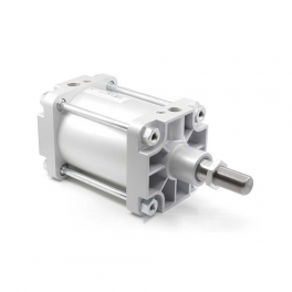 Пневмоцилиндр PMBYA-200-250 Pemaks
